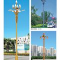 景区特色定制景观路灯\定制玉兰?-